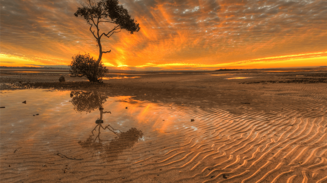 How-well-do-you-know-your-procurement-spend-SLIDER-BANNER